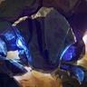 石甲虫